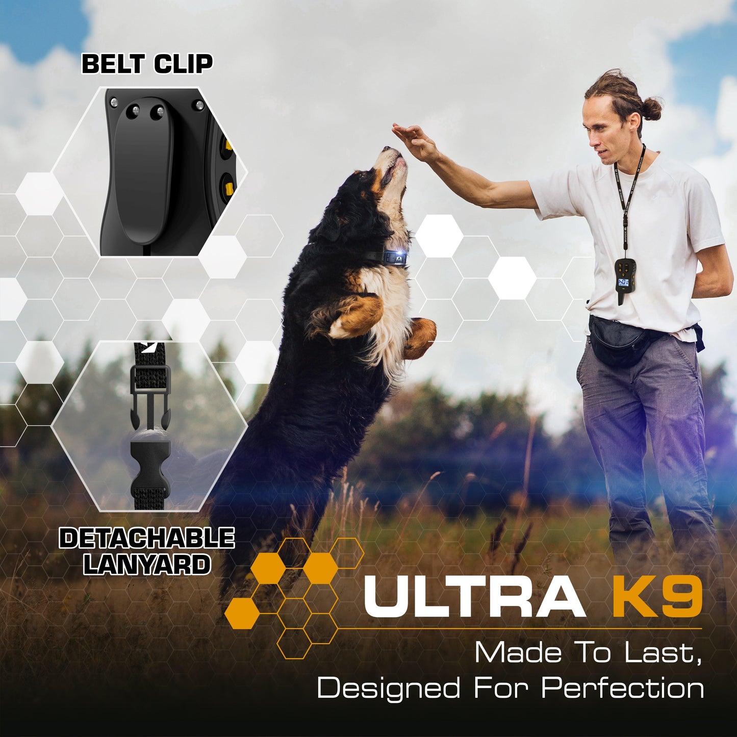 Dogtra training collar