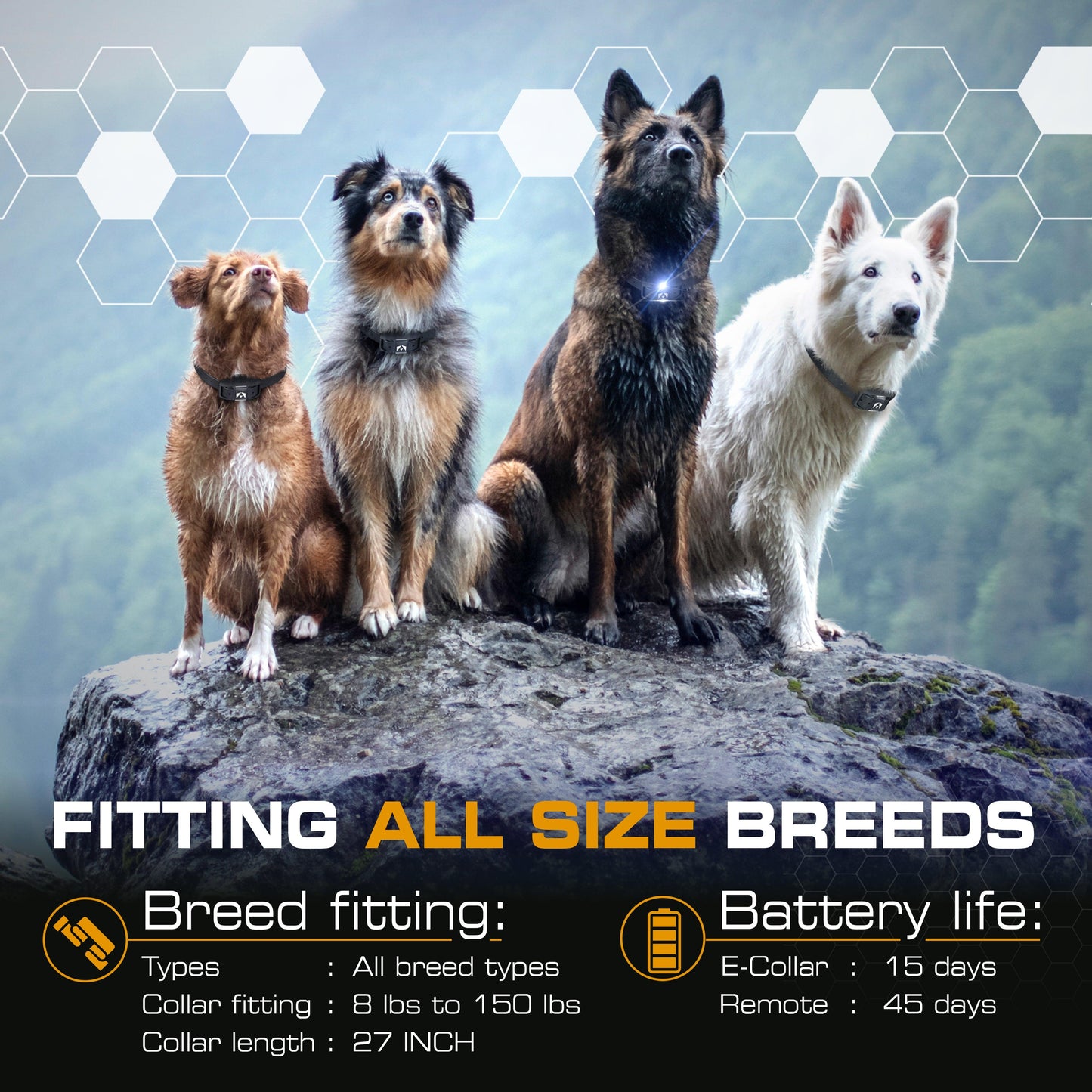e collar for dogs