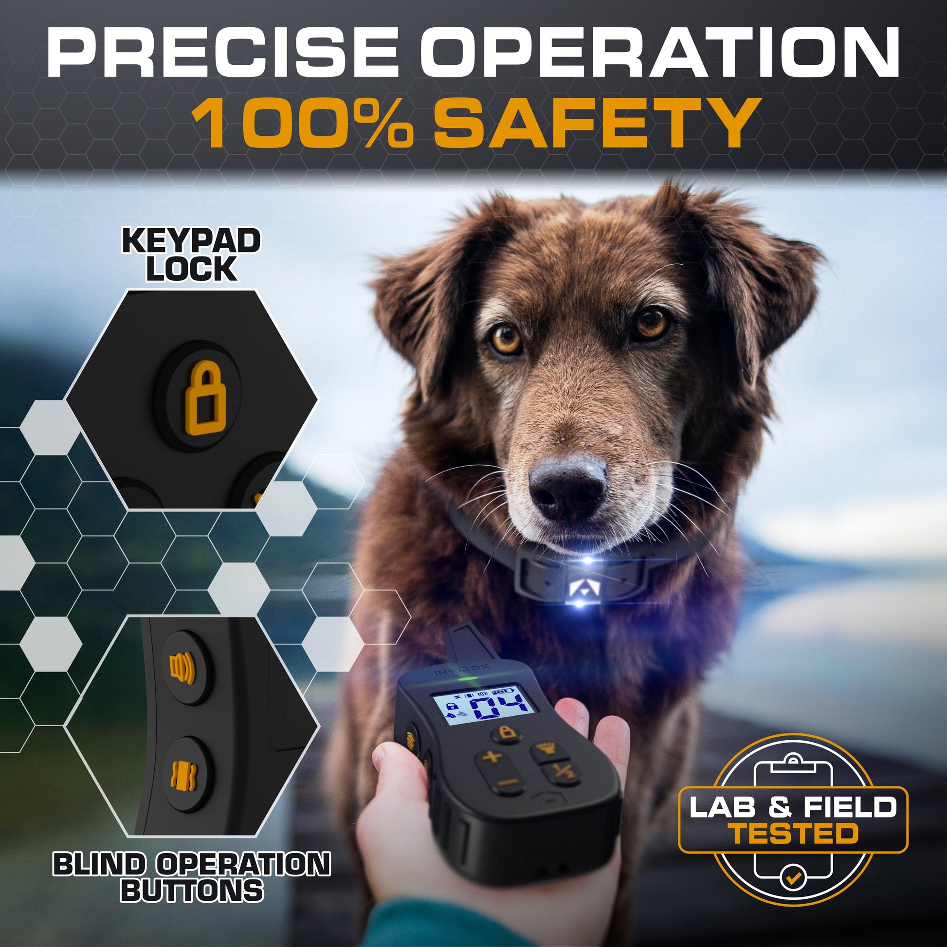 Is dog shock collar safe? 
